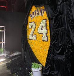 吃瓜aj明星,揭秘吃瓜AJ明星背后的故事