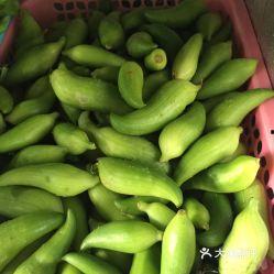 角瓜图片怎么吃,从图片到餐桌的华丽变身