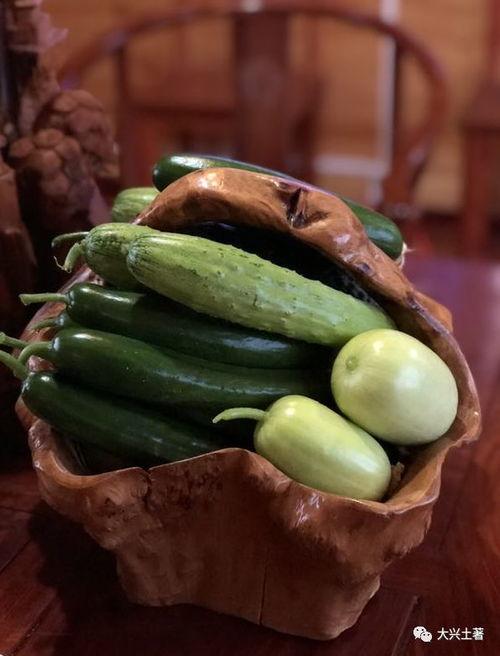 网红贵圈吃瓜,揭秘网红圈层背后的故事与真相