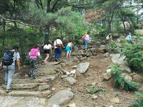 泰安徂徕山吃瓜,泰安休闲新体验