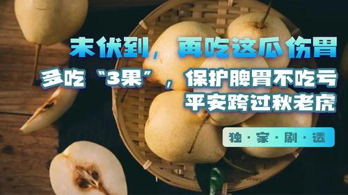 吃双瓜配什么吃不伤胃,养胃又美味的选择