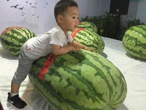 滕州吃瓜事件最新