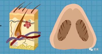 吃瓜挖鼻孔,揭秘“挖鼻孔”背后的趣味与真相
