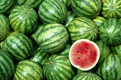 全网最理性吃瓜,揭秘网络舆论背后的真相