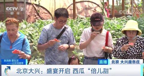 带你吃瓜结婚现场,趣味婚礼新风尚