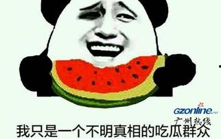 吃瓜群众表情描写,揭秘网络热议背后的喜怒哀乐