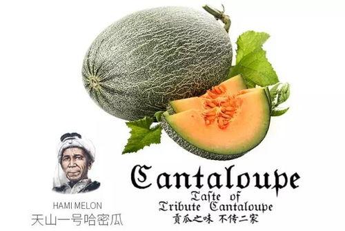 胖强吃瓜,揭秘娱乐圈那些不为人知的幕后故事