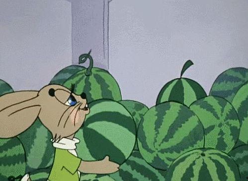 做梦买瓜吃瓜,一梦买瓜吃瓜的奇幻之旅