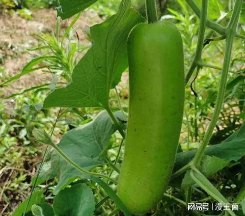 大家最近吃瓜,明星们的甜蜜与苦涩