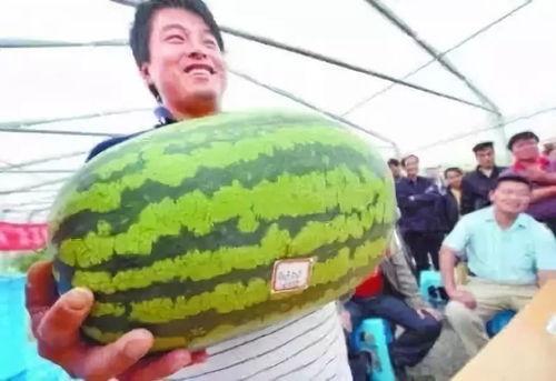 瓜哥带你吃瓜拍摄场地,瓜哥吃瓜拍摄场地大揭秘