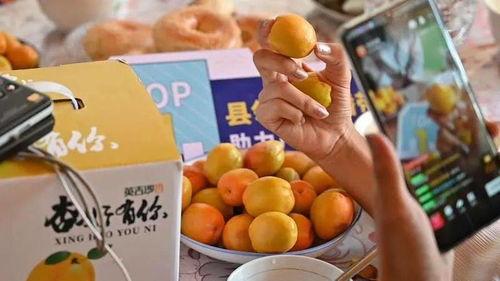 带你吃瓜包装,带你吃瓜包装背后的秘密与趣味