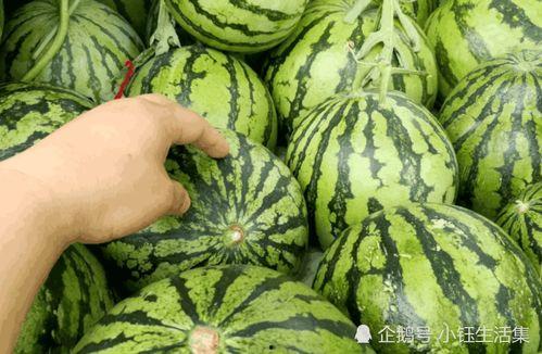 紫枫儿吃瓜,揭秘娱乐圈那些不为人知的幕后故事