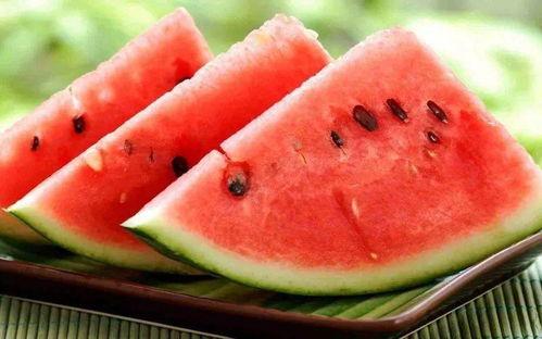 冷天请吃瓜视频,冷天吃瓜视频，暖意融融的欢乐时光