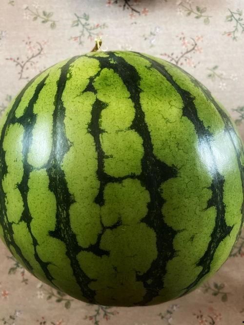 房地产吃瓜表演,揭秘吃瓜群众的精彩表演