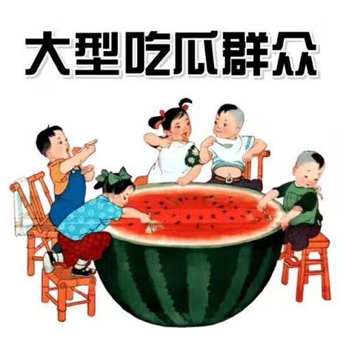 怎么形容吃瓜小天才